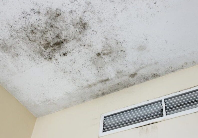 Can HVAC Systems Cause Mold