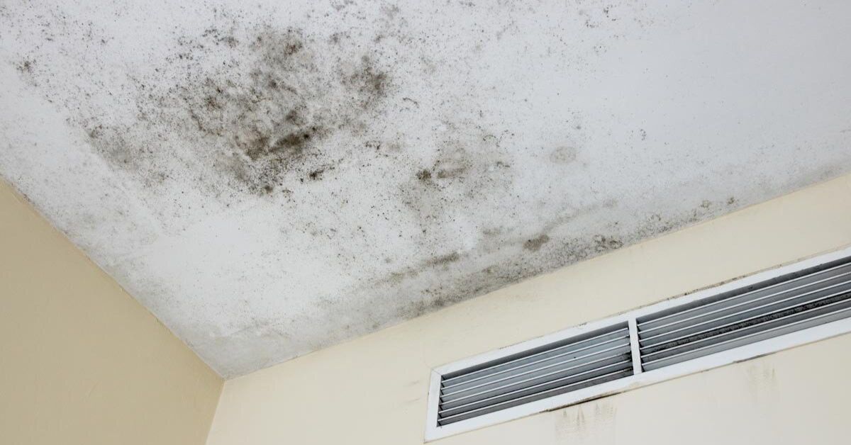 Can HVAC Systems Cause Mold